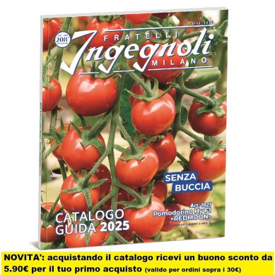 nuovo CATALOGO INGEGNOLI 2025