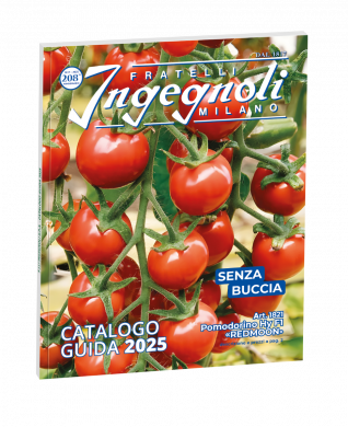 CATALOGO INGEGNOLI 2025