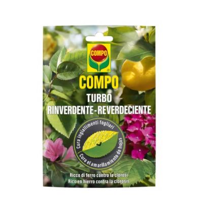 COMPO TURBO RINVERDENTE