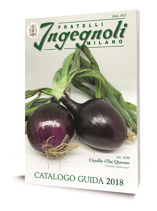 Sfoglia Catalogo Ingegnoli